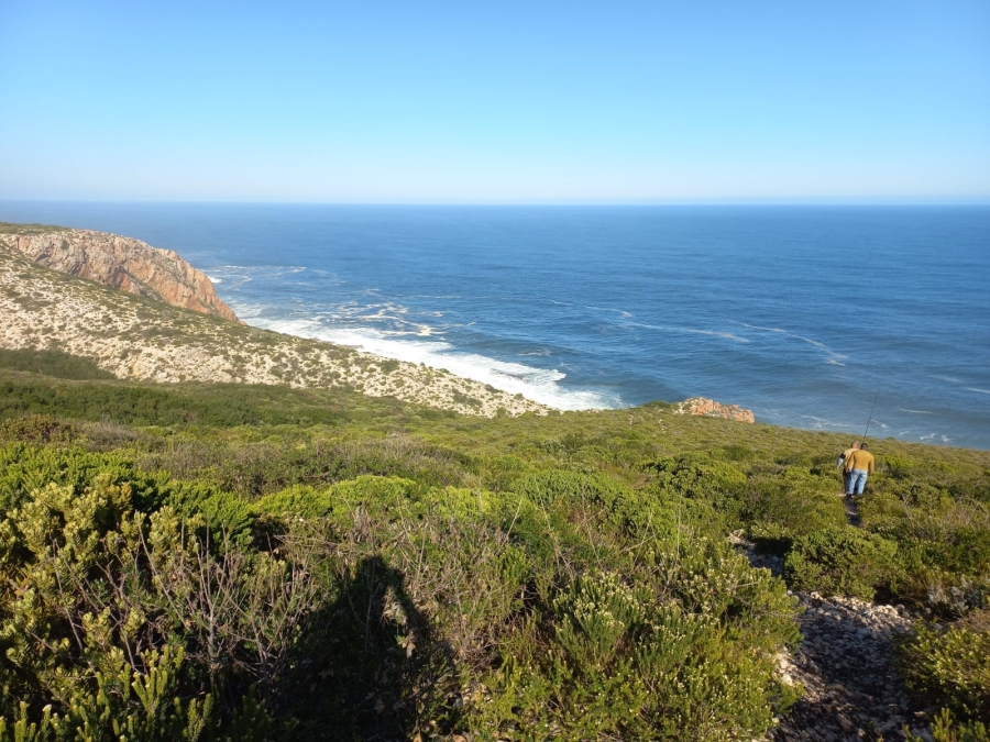 0 Bedroom Property for Sale in Kranshoek Township Western Cape